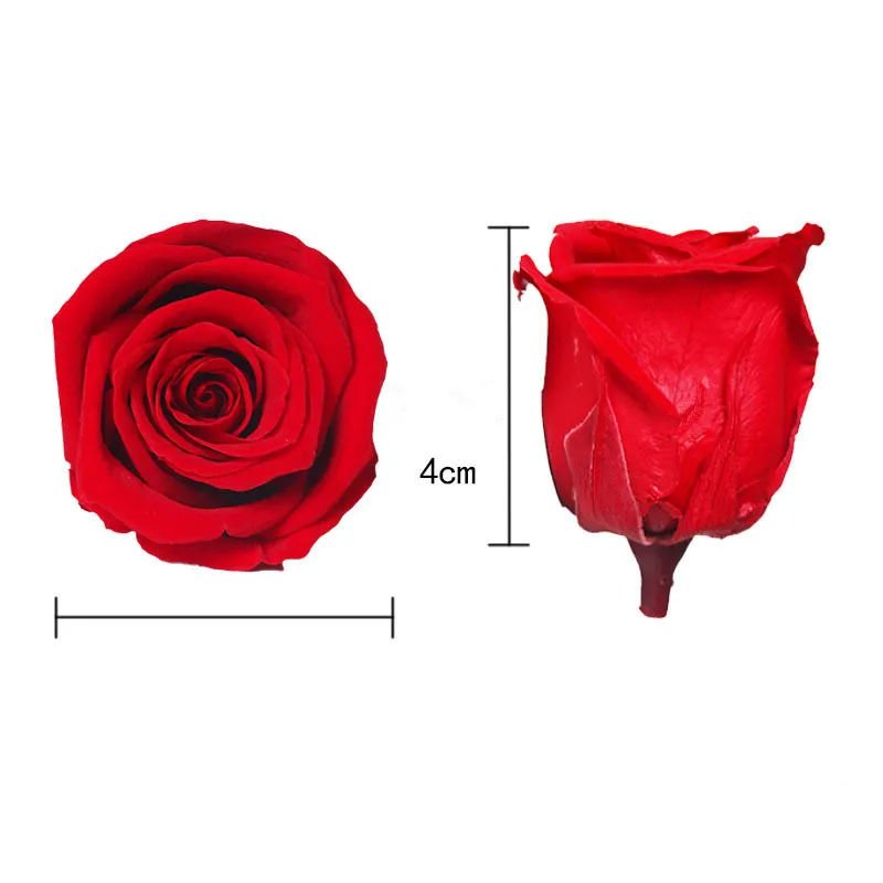 8Pcs/Box Grade A Eternal Roses Heads Real Natural Fresh Preserved Forever Rose Eternelle Immortal DIY Flower Material Decor