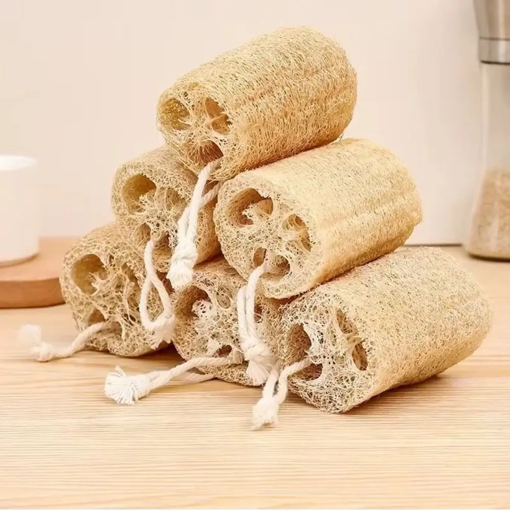 Petite brosse en luffa avec UL, éponge de bain écologique pour le corps, épurateur de cuisine, outil de nettoyage HOClean, pot expansif, bol