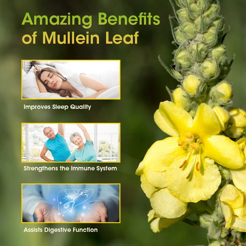 Lukaree Mullein Leaf Capsule Clean the Lung Protecting the Respiratory System Relieve Phlegm and Cough Immune Support Help Sleep