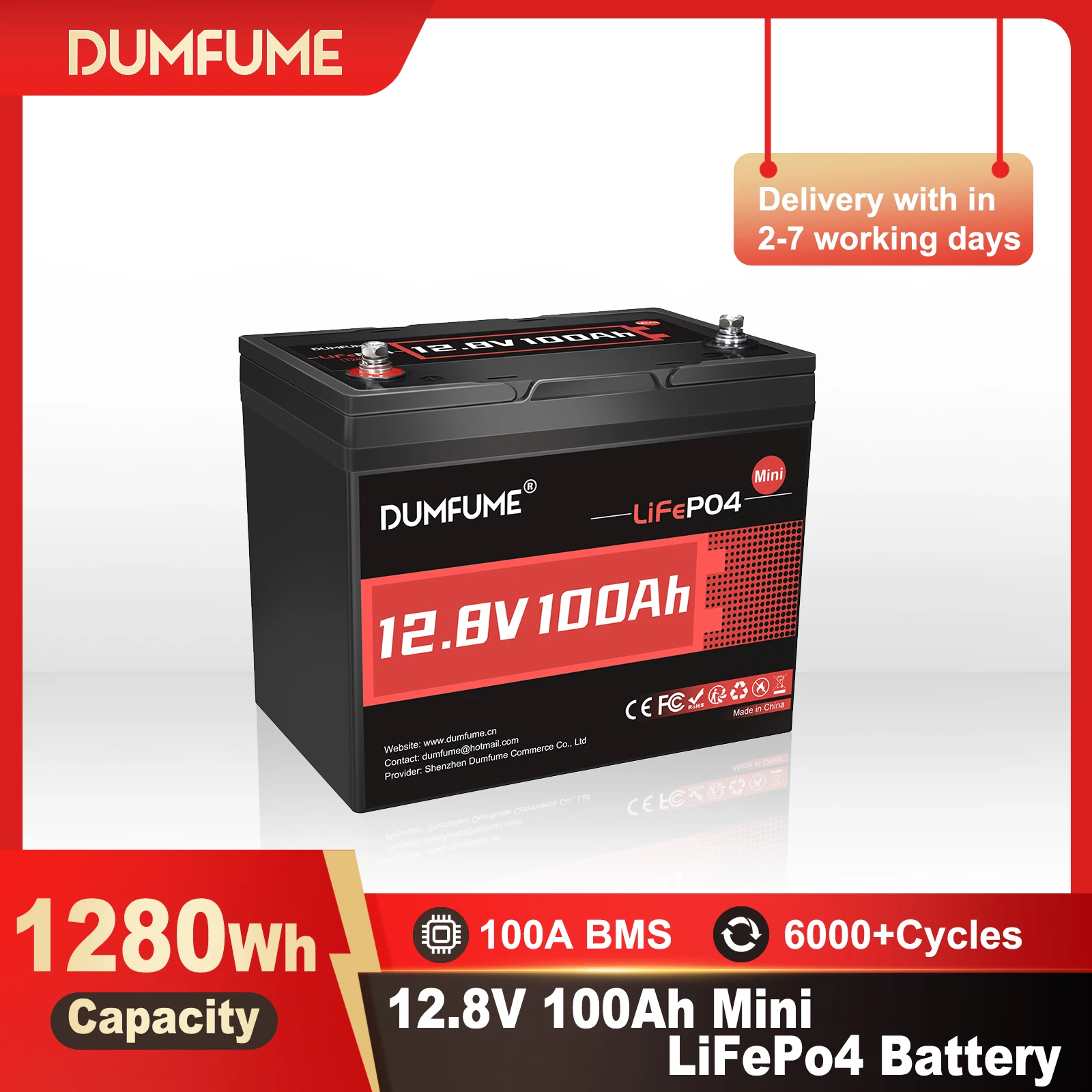 

Dumfume 12.8V 100Ah Mini LiFePO4 Lithium Battery with 100A BMS 1280W Output for RV Solar Home Backup Energy Storage Fishing