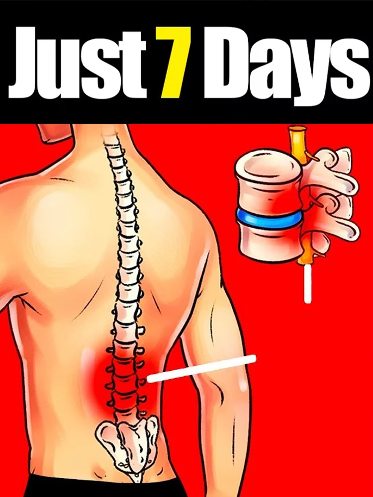 

помощь людям с ограниченными возможностями по поддержке мобильности в решении их проблем.