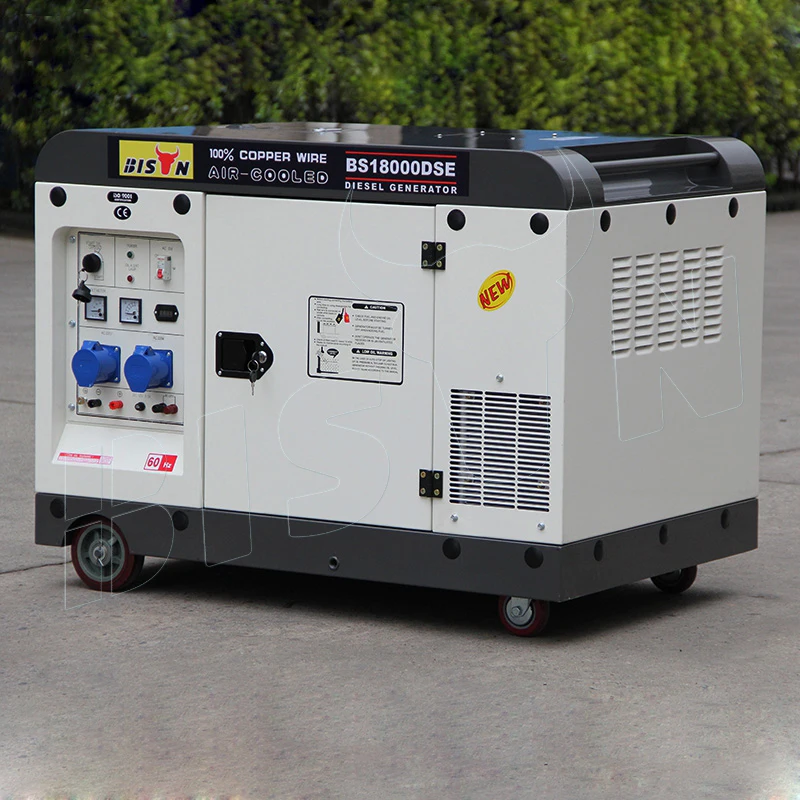 

Chinese Power 11kw 12kw 12kva 10 Kva 10kva 10kw Single Phase Electric Silent Type Generator Diesel