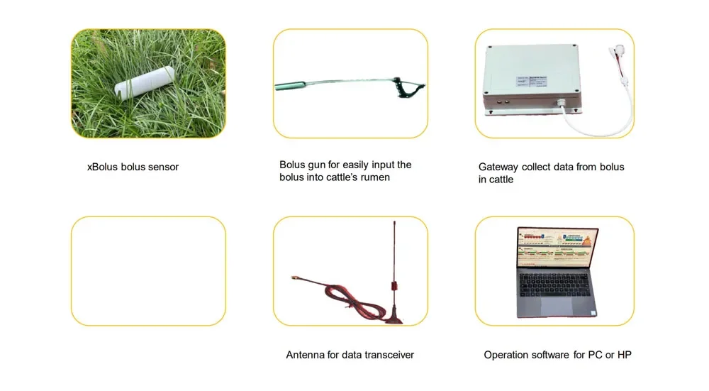 Advanced Cattle RumenTag Ear Tags New Cow Collar Heat Detection Carving Alert Water Intake Activity Laying Time Well-being