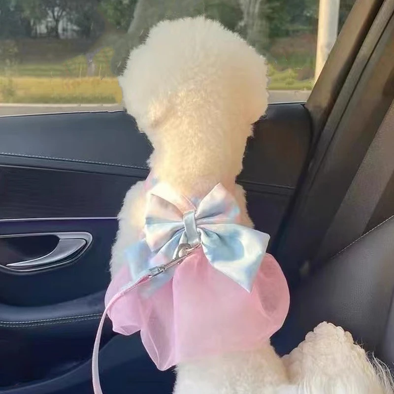 Śliczne koronkowe pies kot zestaw uprząż i smycz Pet Princess kamizelka do sukienki dla małych psów spacer akcesoria treningowe z kokardą Chihuahua York