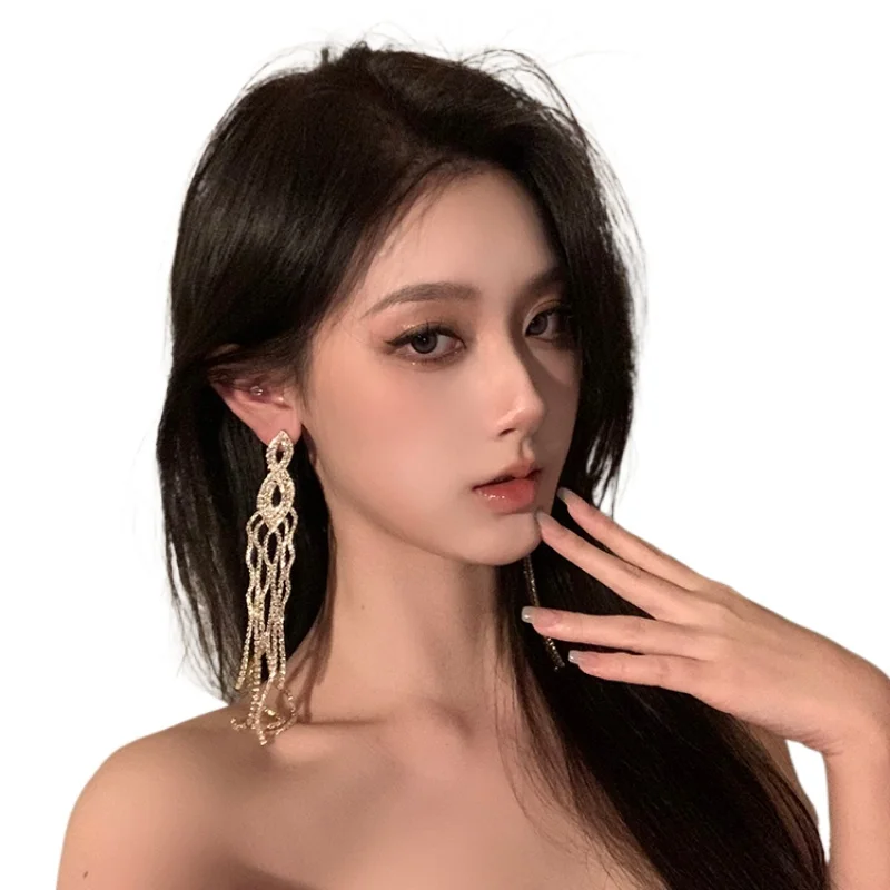 

*Long tassel zircon earrings female niche design sense of advanced earrings