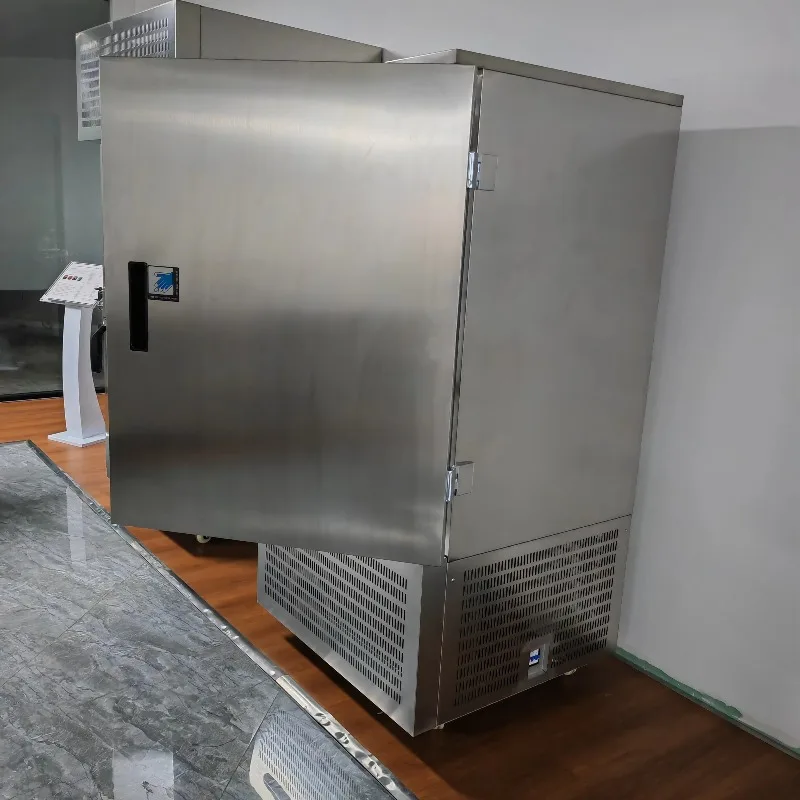 Upright Commercial Fast Cooling Ultra-low Temp Freezer -40℃ Stainless Steel Quick-freeze Preservation