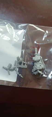 Buyer photo of this resin kit