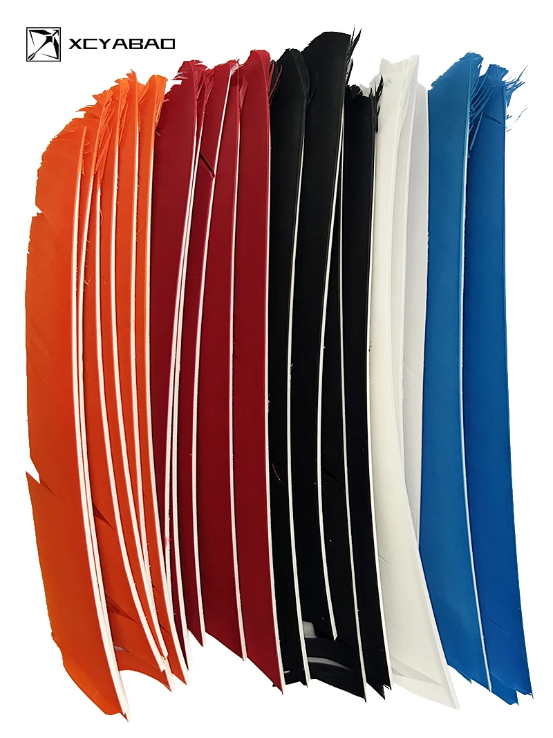 #36 Cheap Arrow Fletchings Worth Buying