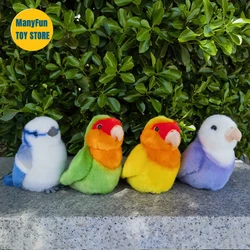 Realistic Peony Parrot High Fidelity Lovebird Plushie Budgie Peluche Lifelike Bird Stuffed Animals Simulation Toy For Kids