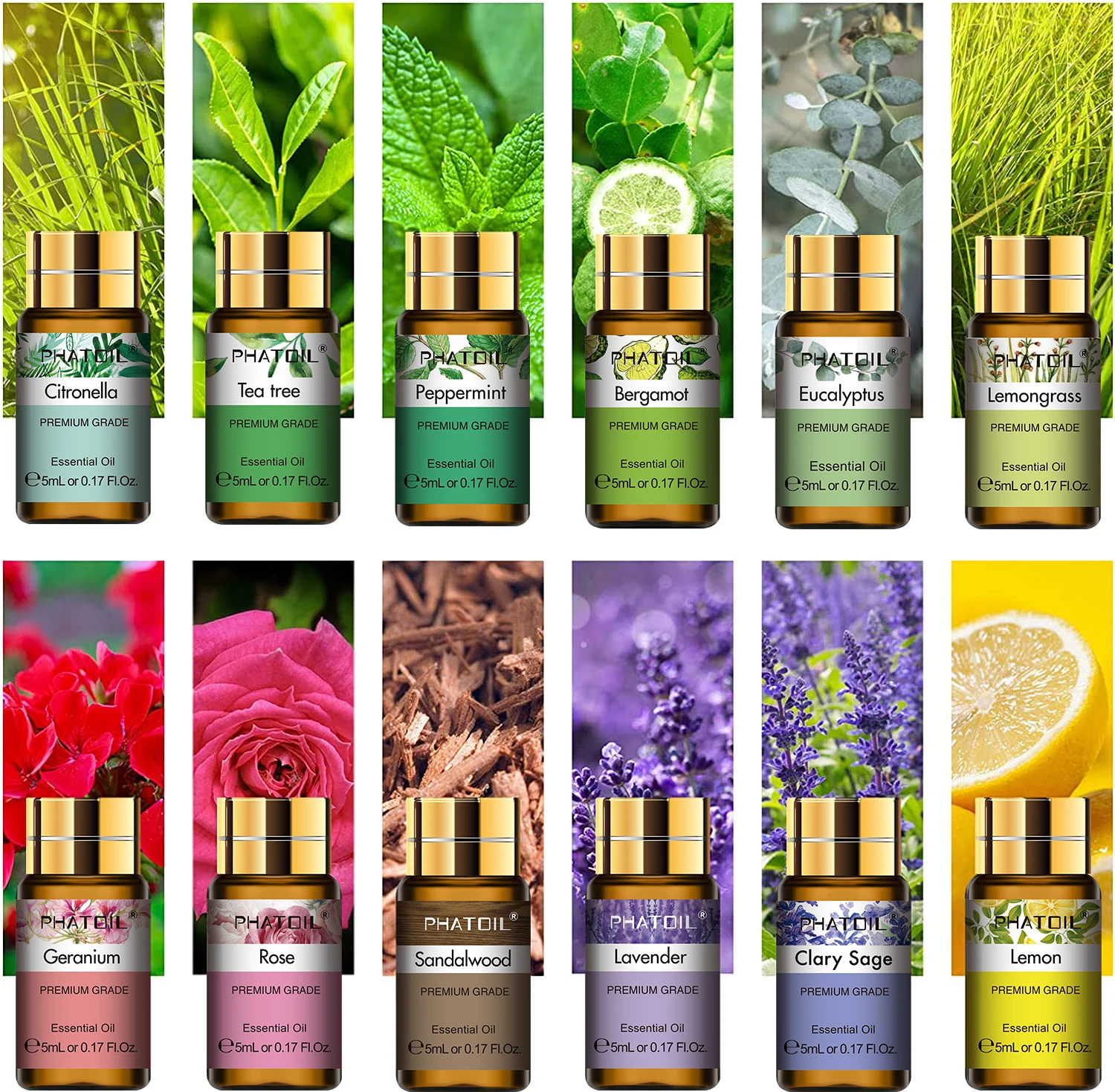 PHATOIL 12PCS x 5ml Essential  - Soap Making Kit Amazon ulasan dan harga