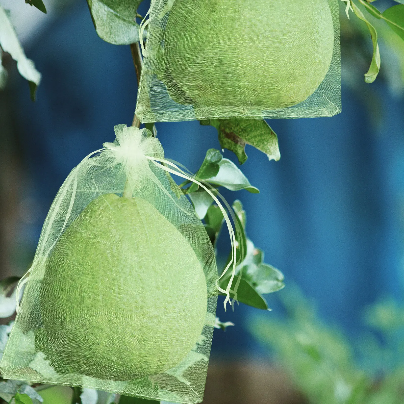 100Pcs Fruit Protection Bags Organza Drawstring Grow Bags Insect Bird Protection Fruit Mesh Bag Garden Nursery Grape Vegetable