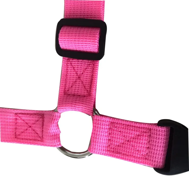 Solid Color Two-in-one Pet Car Seat Belt Nylon Lead Leash Backseat Safety Belt Adjustable Dogs Harness Collar Pet Accessories