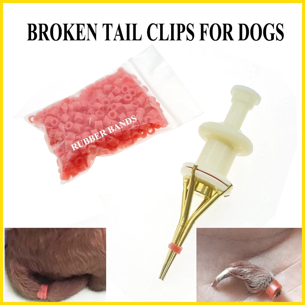 1 Set Werkzeug zum Entfernen von gebrochenen Ringen für kleine Hunde und Welpen mit Gummiband-Clip und Schere für den Heimgebrauch – Detail 7