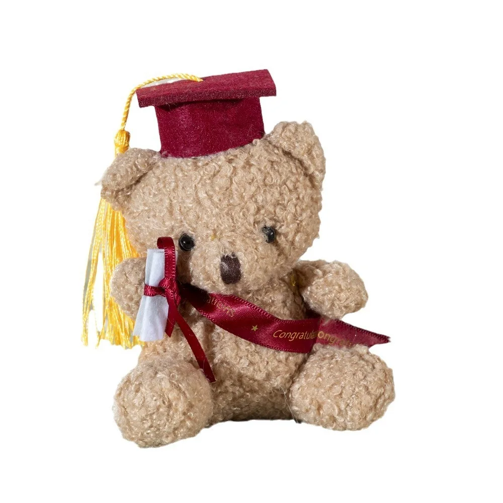 Dr. Bear-muñeco de peluche para niños, bonito juguete de felpa para regalo de graduación, bolso colgante, llavero