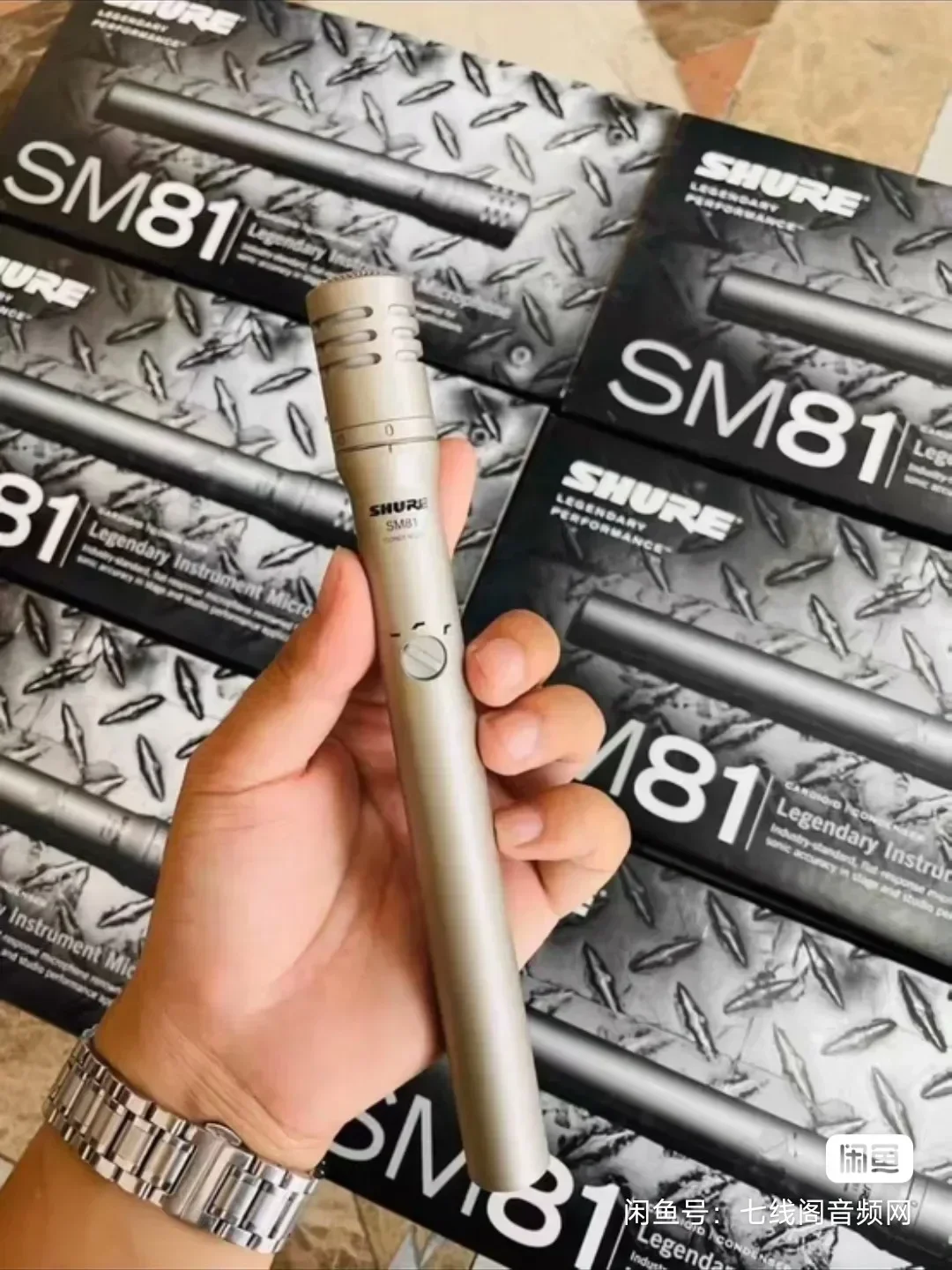 

SM81 microphone