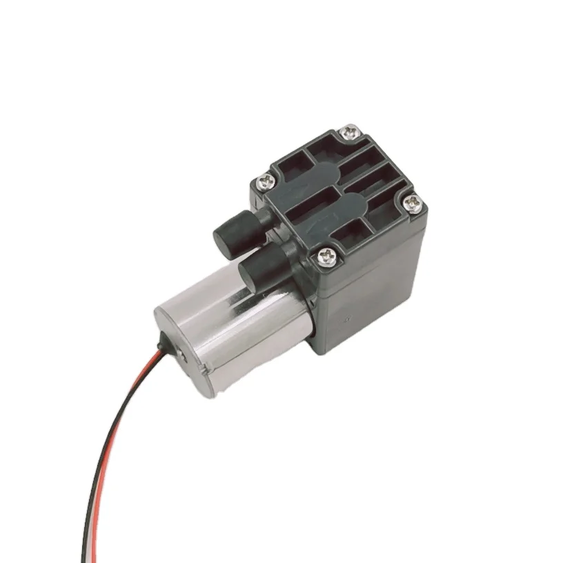 

Customized Electric Diaphragm 24v Brushless Beauty Pump for Exhaust air