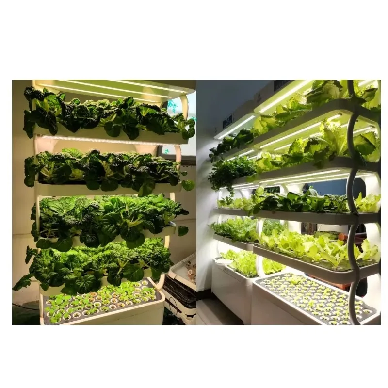 New arrival hydroponic growing system vertical hydroponic system with LED growing lights smart farm
