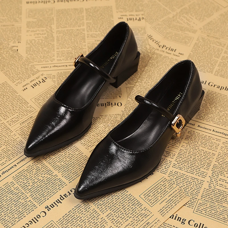 

2025 Vintage Classic Brown Pointed Women's Mary Jane Shoes Fall Fashion Light Button Shoes Women's Comfortable Outdoor Low Heels