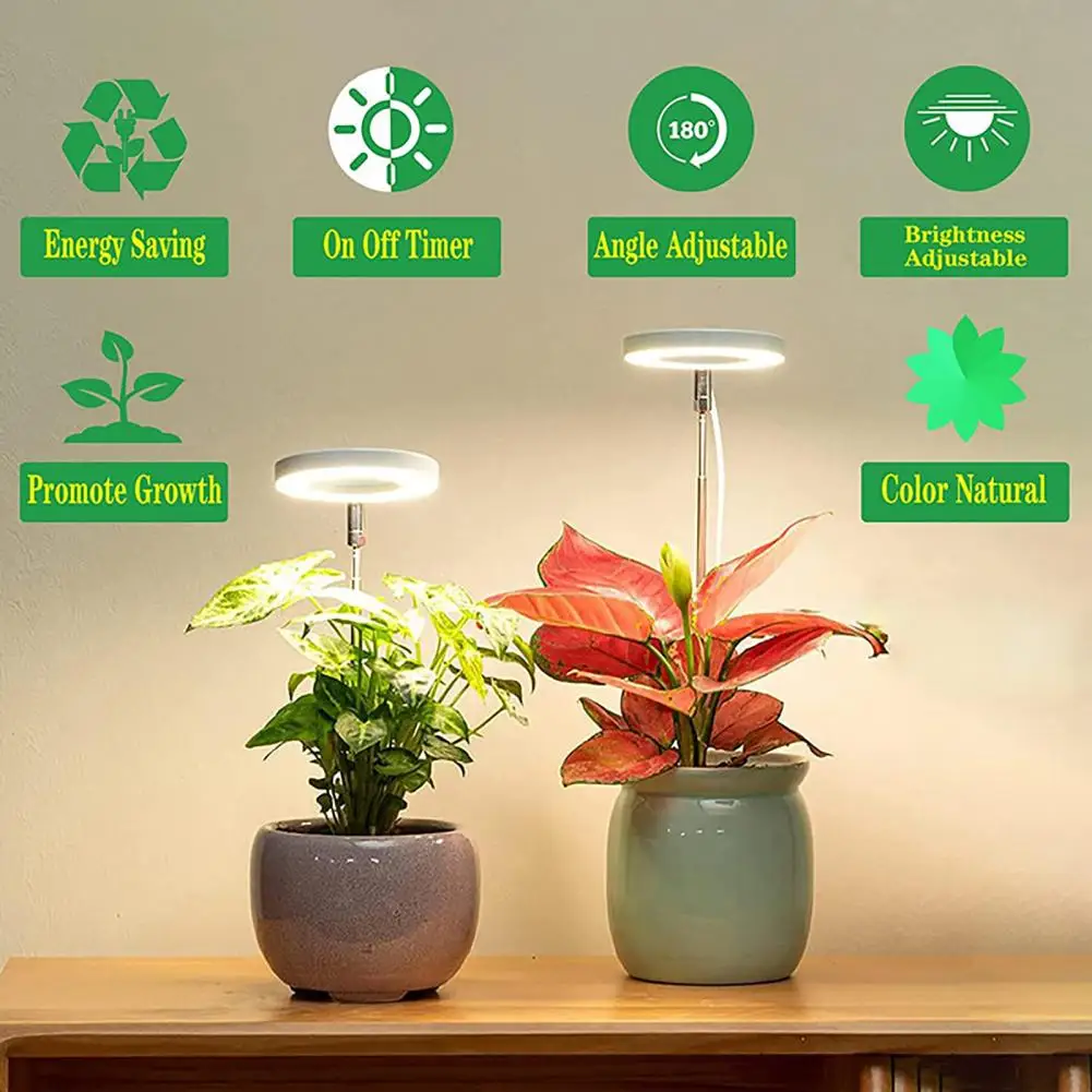 Luce per piante a risparmio energetico Luci progressive a spettro completo efficienti per piante bonsai a fiori Ampia gamma di illuminazione Colore USB verso l'alto