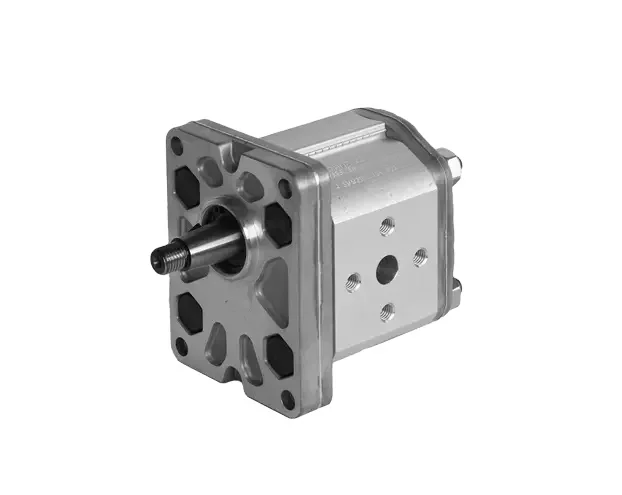 

TengFeiDuplomatic 1P Series Fixed Displacement External Gear Pumps 1P-1.6 1P-2 1P-2.5 1P-3.3 1P-4.2 1P-5 1P-5.8 1P-6.7 1P-11.5