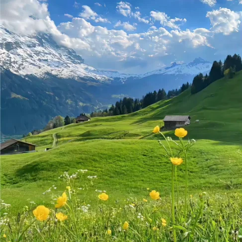 

Tuya Zigbee Rain Sensor Real-Time Alarm IP65 Waterproof Solar Charging Wireless App Control Water Leakage Sensor Rain Detection