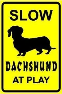 Dchshund t Ply Slow Wrn Dog Pet New Sgn 8X12 nch