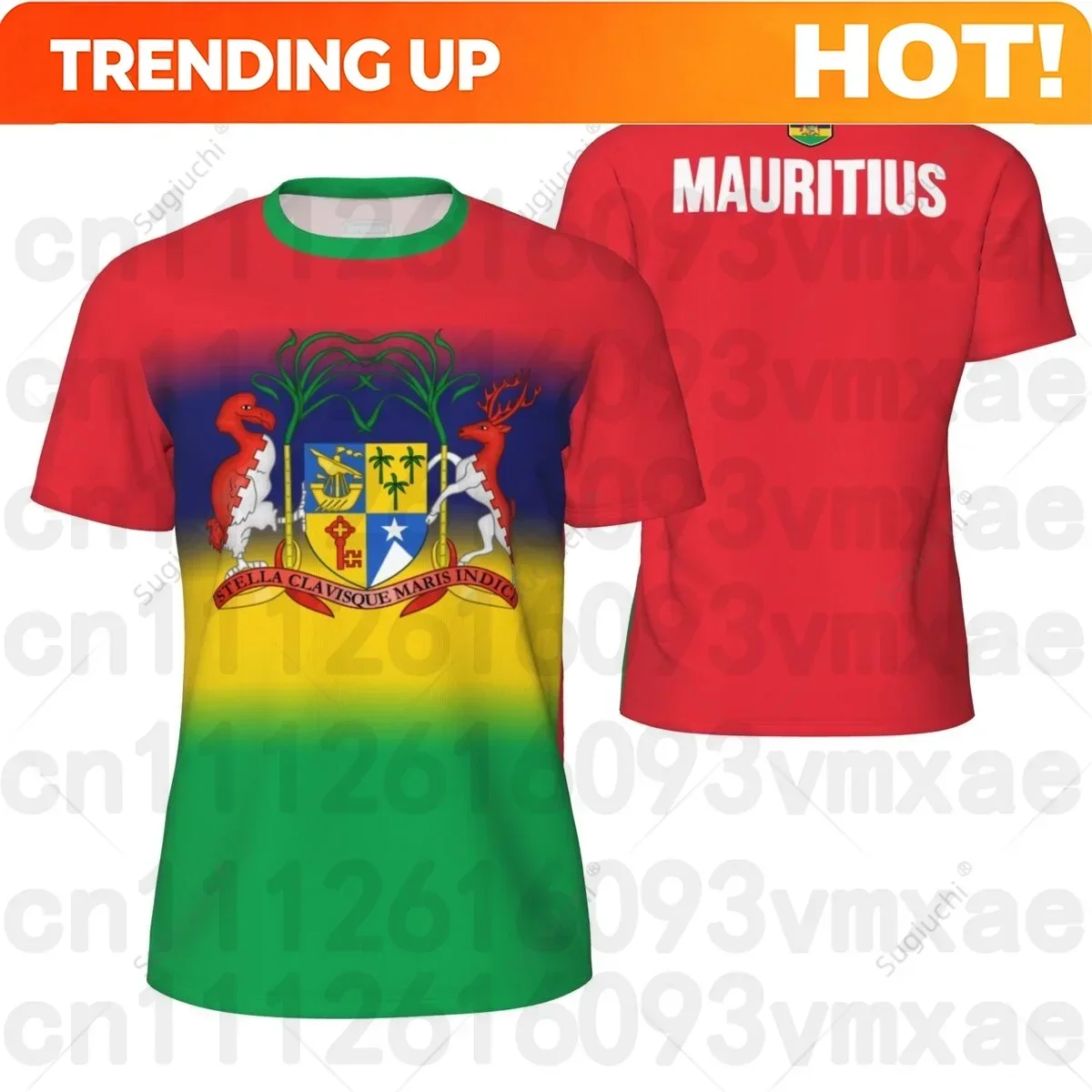 Customization Sports Mesh T-shirt Mauritius Flag For Running Bike Soccer Tennis Football Fitness Tees 3D Printed Custom