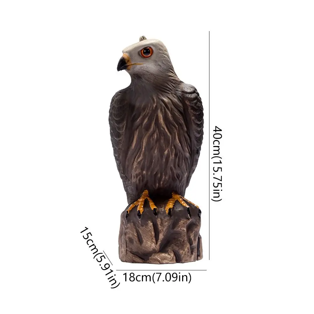 Creative Lifelike Garden Eagle Statue Sturdy Realistic Birds Decoy Hawk Resin Crafts Waterproof Falcon Statue Outdoor Courtyard view 6