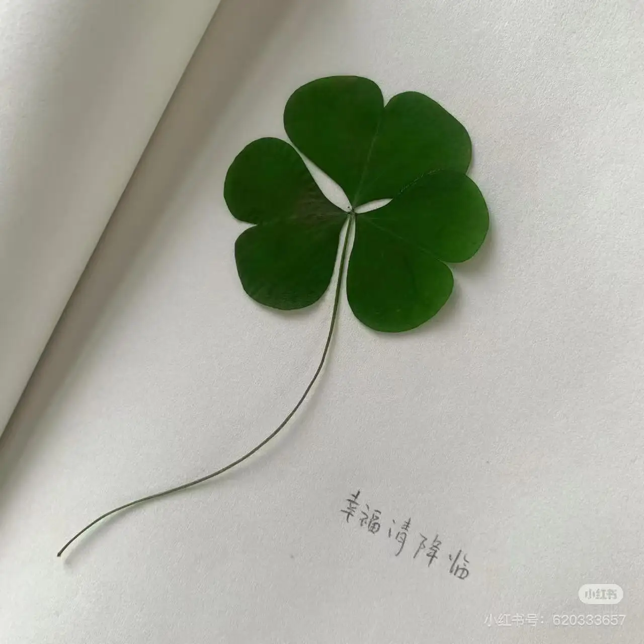 

Hydro Dermabrasion 6 IN 1 Spa Skin Lifting H2-O2 Water Dermabrasion Tightening Small Bubble Facial Microdermabrasion Machine