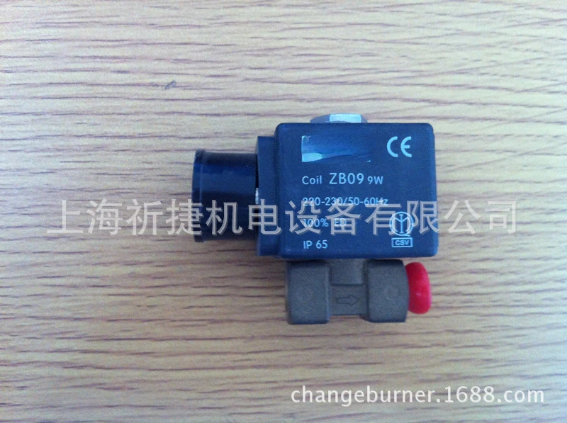 ZB09 Fuel Solenoid Valve