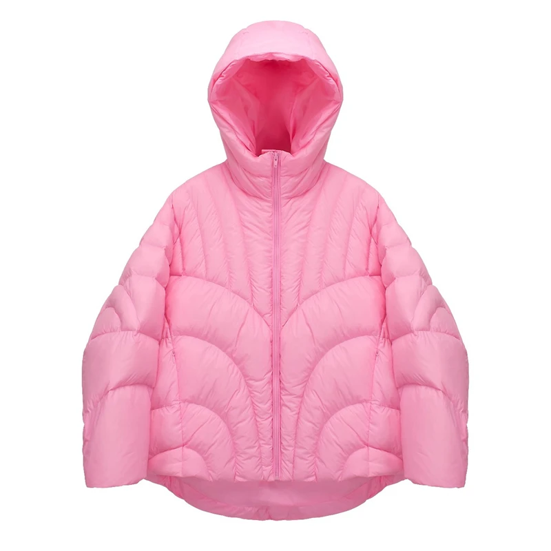 شتاء جديد المرأة سميكة الدافئة فضفاضة بطة بيضاء أسفل مقنعين أسفل سترة y2k عالية الجودة المألوف بسيط سترة الخبز عادية