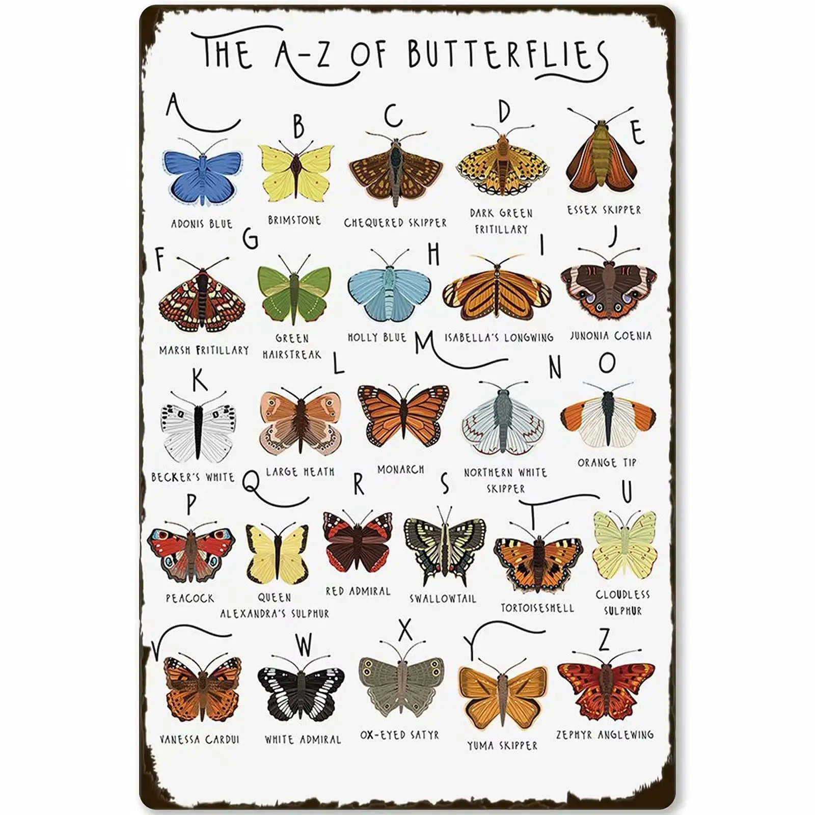 

Veidsuh The A - Z of Butterflies Metal Knowledge Tin Sign Poster Tin Sign Metal