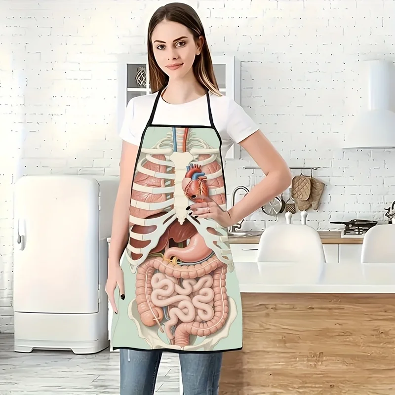 1pc Of An Apron Featuring A Realistic Print Of Human Organs (Including Liver, Stomach, Intestine, And Heart) Made From Durable P