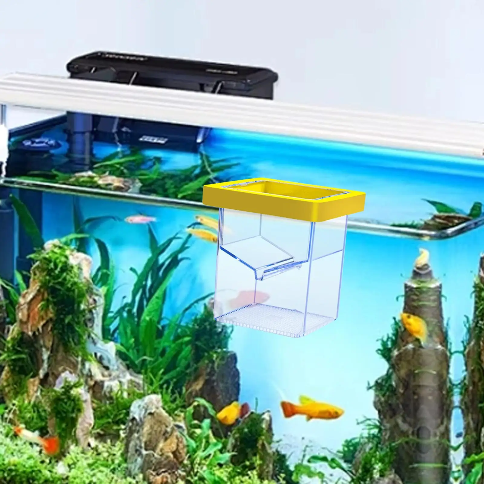 Aquarium Fokker Box Drijvende Acryl Scheiding Vierkante Aquarium Uitkomen Incubator Isolatie Box Uitkomen Doos voor Baby Vissen