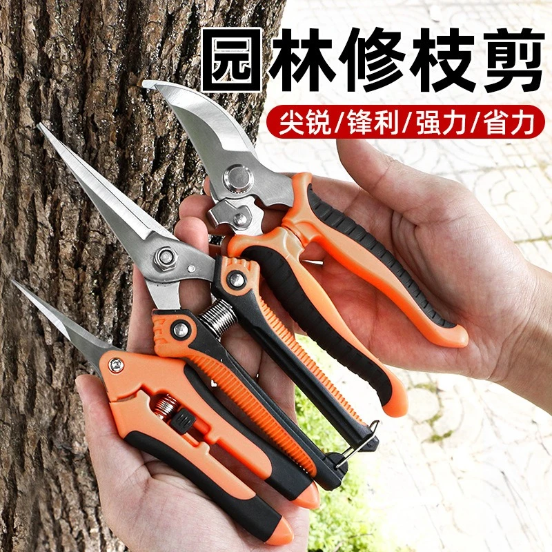 Household Pruning Fruit Tree Special Flowers Gardening Stainless Steel Pruning Branches Greening Garden Scissors Fast Delivery