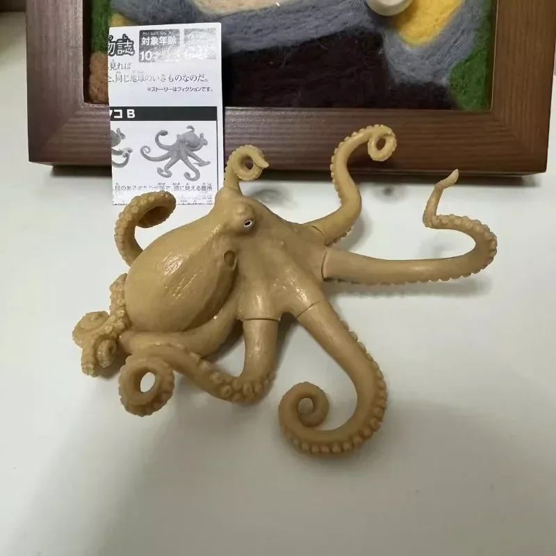 Atlas biológico gashapon brinquedos polvo camaleão criativo figura de ação modelo ornamentos brinquedos local