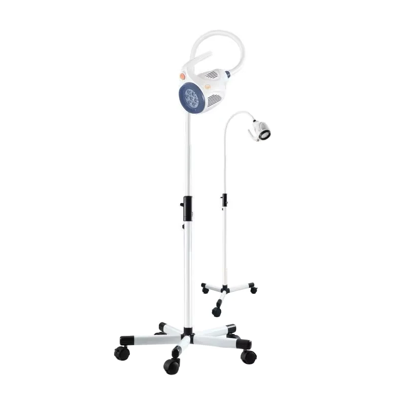 Electric adjustable angle health care inspection lamp with protective cover and floor stand for emergencies and clinic equipment