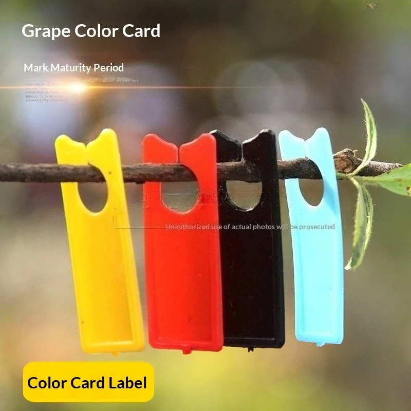 

100Pcs/Lot Plastic Plant Tags Multifunction Melon Fruit Labels Garden Bonsai Decoration Sign