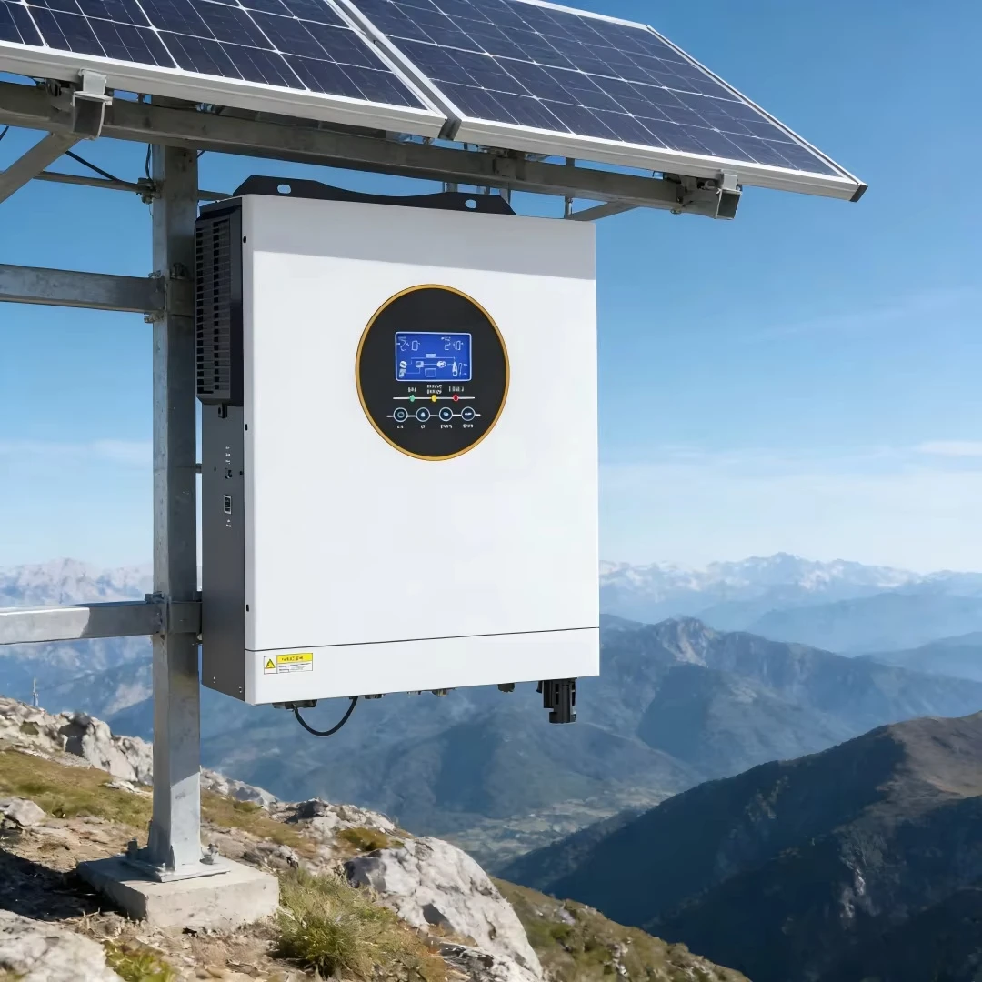 Hoehold Only PV Inverter  Inverter Original Supplier 3000w 110V to 220V  Standard Split Phase Solar Power