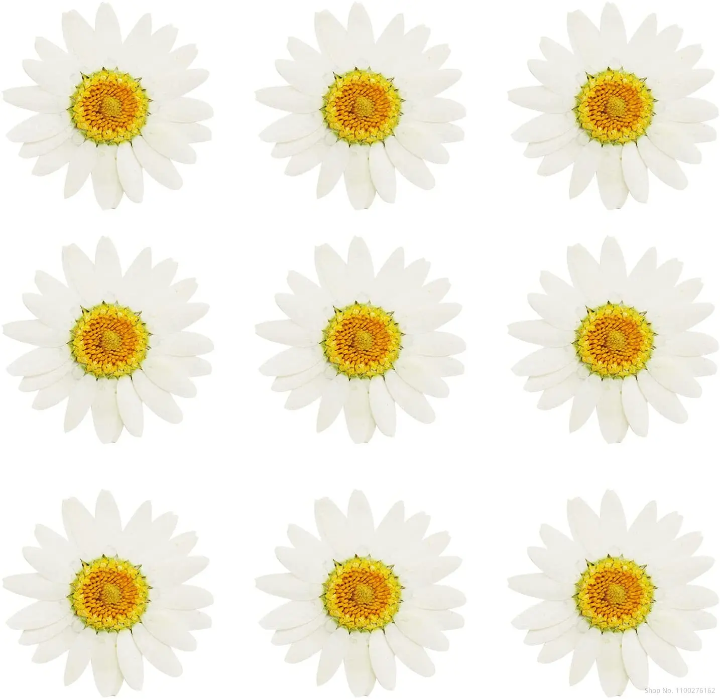 360pcs Pressed Press Dried Daisy Dry Flower Plants For Epoxy Resin Pendant Necklace Jewelry Making Craft DIY Accessories