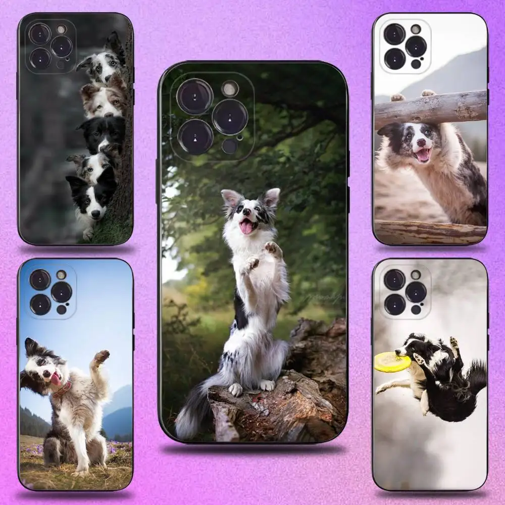 

Border Collie Dog Phone Case For iPhone 16,15,14,13,12,11 Plus,Pro Max,XS,X,XR,SE,Mini,8,7,Soft Silicone Black Cover