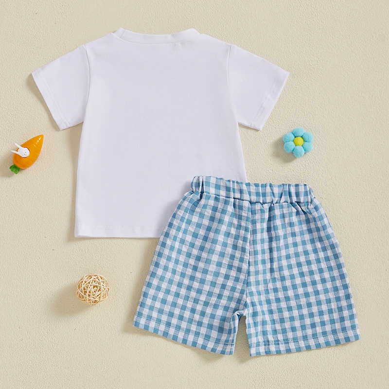 아기 소년 부활절 복장, 반팔 자수 토끼 티셔츠, 격자 무늬 반바지, 2 피스 복장