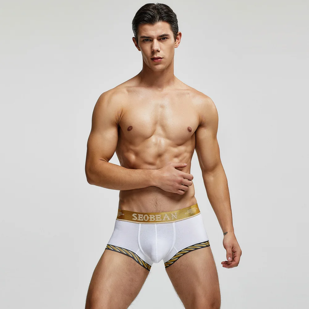 2025 European and American style men's underwear, men's cotton underwear, men's boxers, underwear 00210