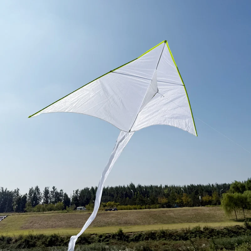 Paradise Bird 2m Blank Kite with 100m Handle Line Can Engage in Artistic Creation Outdoor Fun Gift For Children Painting Kite