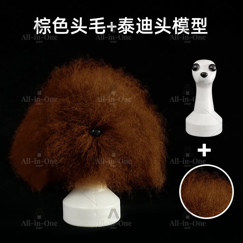 tete-de-chien-de-simulation-pour-toilettage-modele-de-tete-de-chien-teddy-squelette-de-chien-factice-pour-la-formation-en-ecole-de-toilettage
