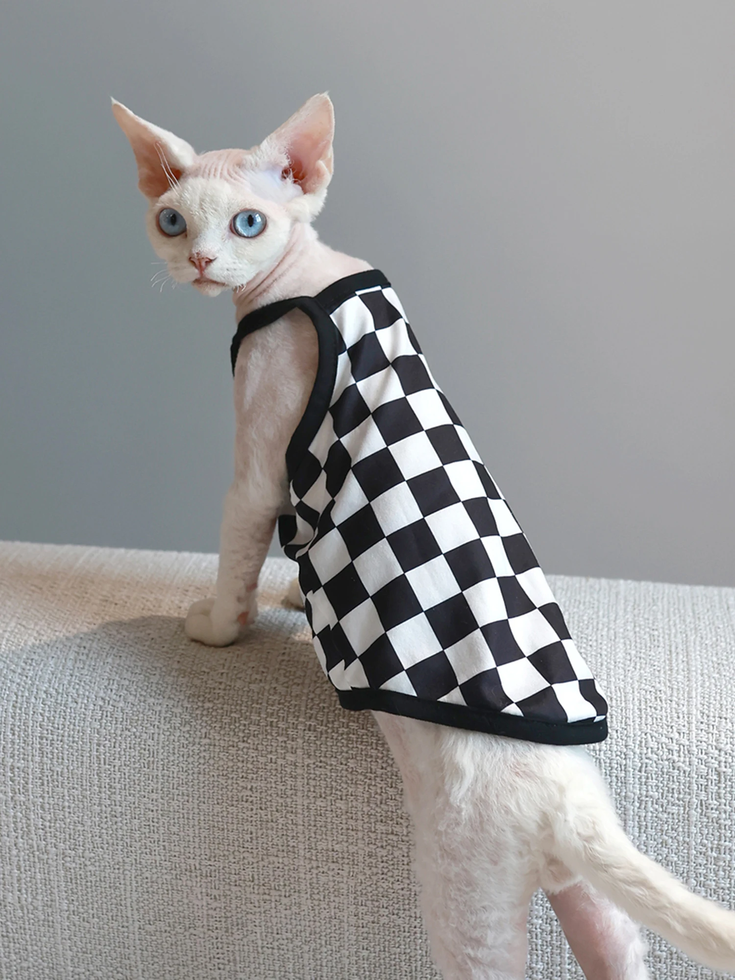 Pet Cat Clothes Sphynx Kitten Plaid Vest Shirt For Sphinx Devon Rex Breathable Cat Camisole Soft Summer Clothing Cat Supplier