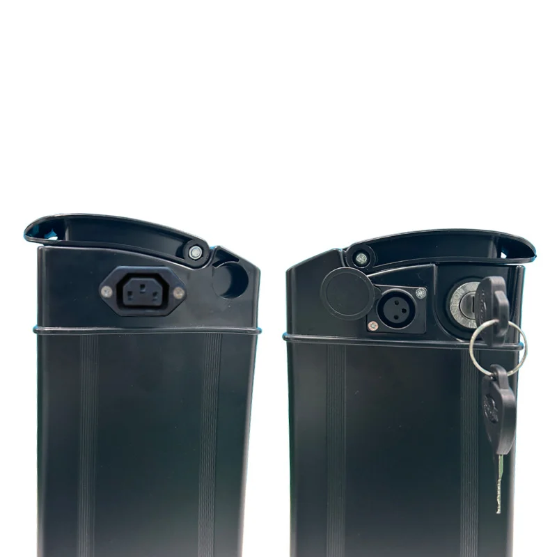 48V Hiba Folding Electric Vehicle Battery with Built-in 30A BMS Is Suitable for 250W 350W 450W 750W 1000W 1200W Motor + Charger