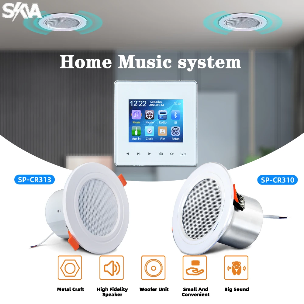 Portable Home Amplifier with Bluetooth and Full-range Ceiling Speaker Combo Support FM Radio 6 Languages Consumer Electronics