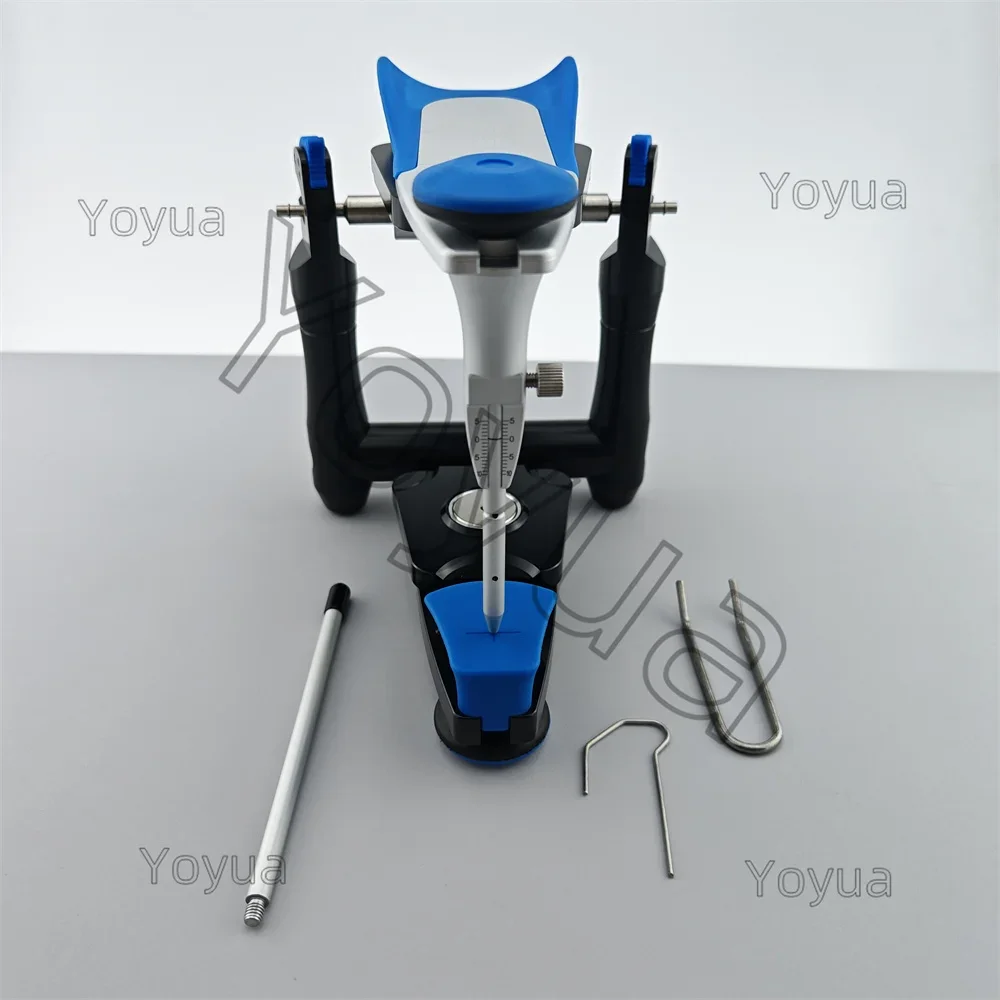Dental BN Model Functional Articulator with 6 sets T-shape Base Plate Teeth Model Accurate Scale Plaster Model Equipment