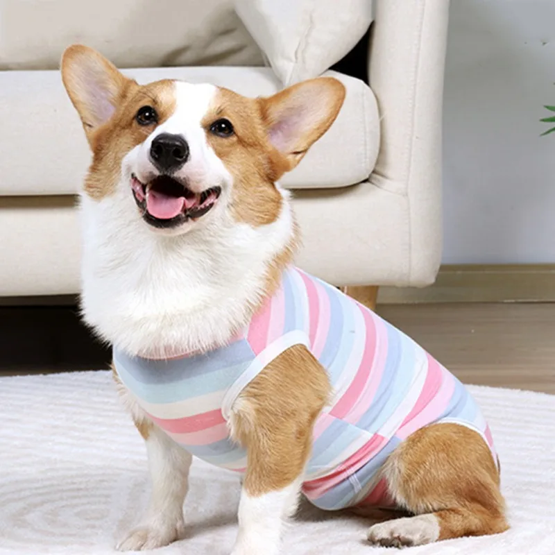 Pet Dogs Maintain Clothes Operation Recovery Suit Anti Licking Wounds After Surgery Surgery Suit Four-legged Jumpsuit Dogs Vests